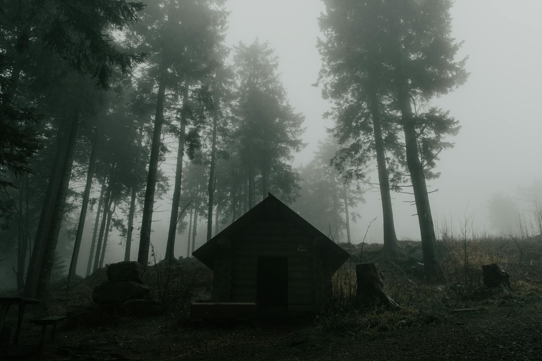 Die Hütte im Herbstnebel